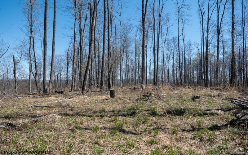 Lot 1 Preston Highway, Tunnelton, West Virginia 26444, ,Lots/land,For Sale,Preston,10164291