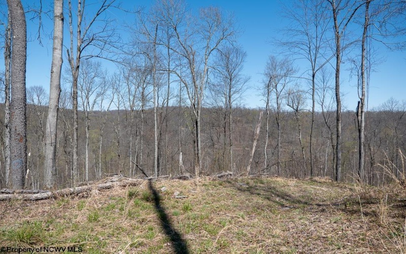 Lot 1 Preston Highway, Tunnelton, West Virginia 26444, ,Lots/land,For Sale,Preston,10164291