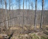 Lot 1 Preston Highway, Tunnelton, West Virginia 26444, ,Lots/land,For Sale,Preston,10164291