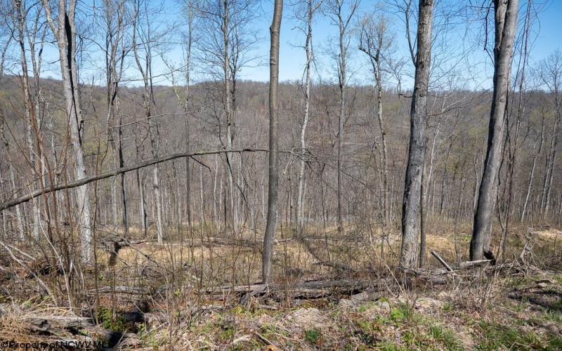 Lot 1 Preston Highway, Tunnelton, West Virginia 26444, ,Lots/land,For Sale,Preston,10164291