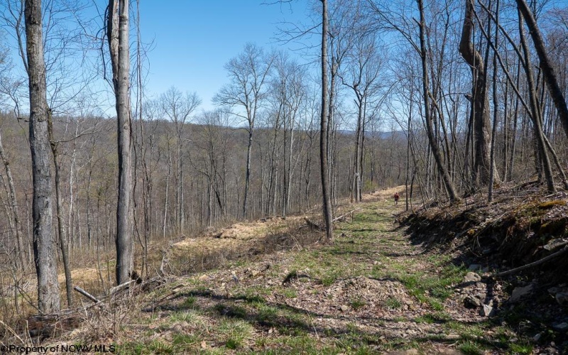 Lot 1 Preston Highway, Tunnelton, West Virginia 26444, ,Lots/land,For Sale,Preston,10164291