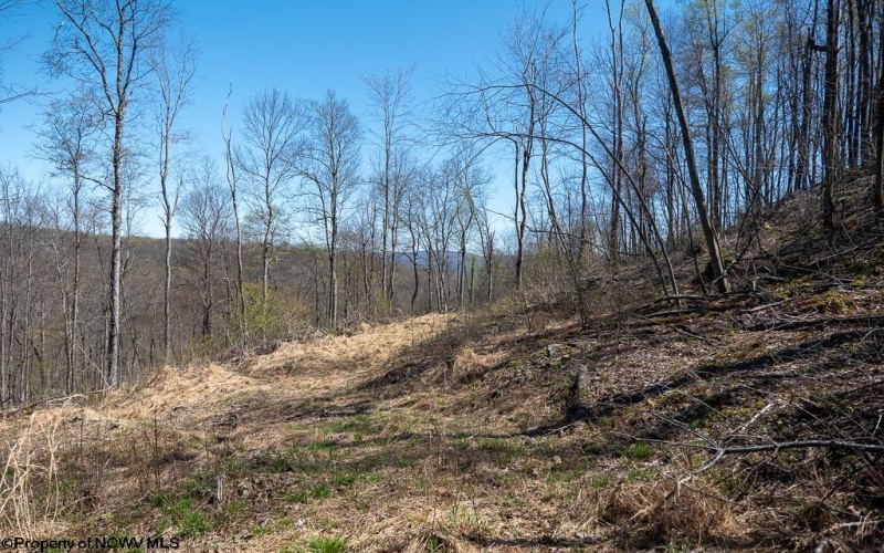 Lot 1 Preston Highway, Tunnelton, West Virginia 26444, ,Lots/land,For Sale,Preston,10164291