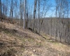 Lot 1 Preston Highway, Tunnelton, West Virginia 26444, ,Lots/land,For Sale,Preston,10164291