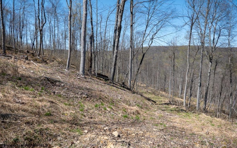 Lot 1 Preston Highway, Tunnelton, West Virginia 26444, ,Lots/land,For Sale,Preston,10164291