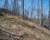 Lot 1 Preston Highway, Tunnelton, West Virginia 26444, ,Lots/land,For Sale,Preston,10164291