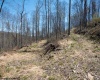 Lot 1 Preston Highway, Tunnelton, West Virginia 26444, ,Lots/land,For Sale,Preston,10164291
