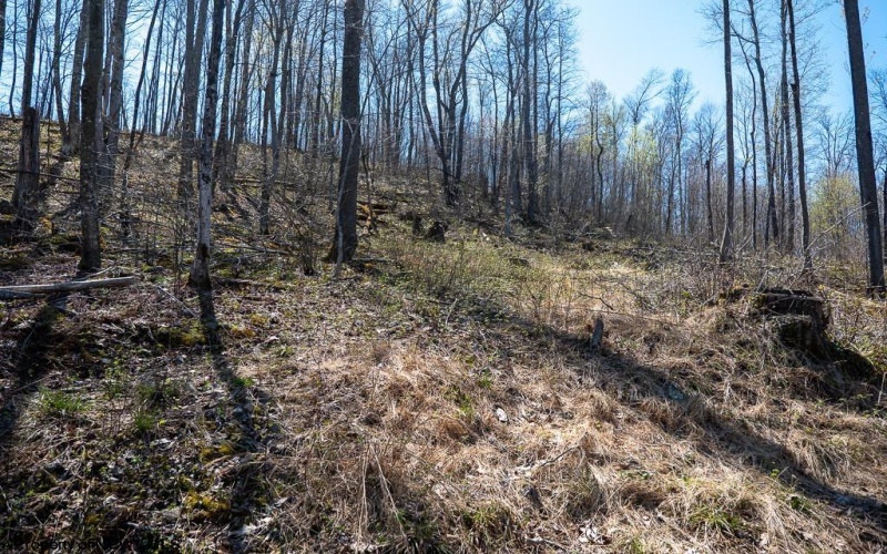 Lot 1 Preston Highway, Tunnelton, West Virginia 26444, ,Lots/land,For Sale,Preston,10164291