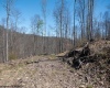 Lot 1 Preston Highway, Tunnelton, West Virginia 26444, ,Lots/land,For Sale,Preston,10164291