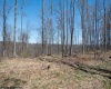 Lot 1 Preston Highway, Tunnelton, West Virginia 26444, ,Lots/land,For Sale,Preston,10164291
