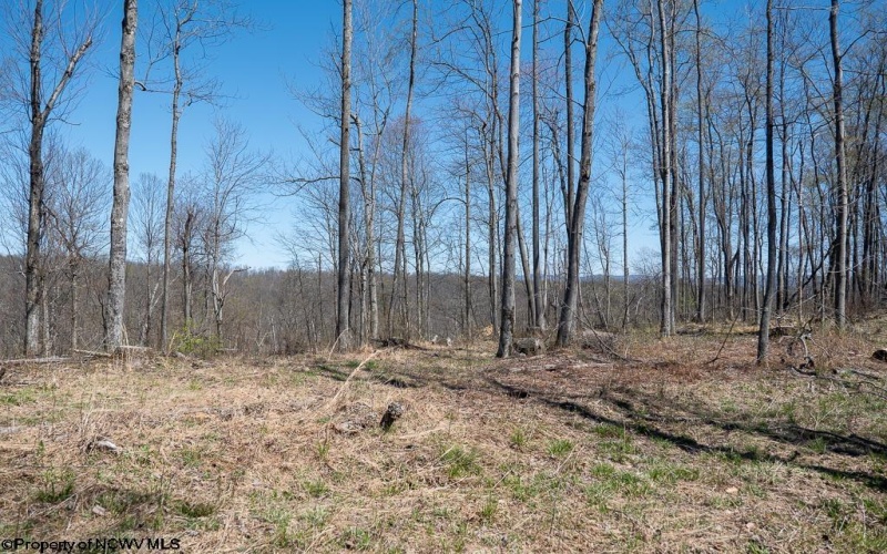 Lot 1 Preston Highway, Tunnelton, West Virginia 26444, ,Lots/land,For Sale,Preston,10164291