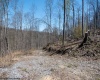 Lot 1 Preston Highway, Tunnelton, West Virginia 26444, ,Lots/land,For Sale,Preston,10164291