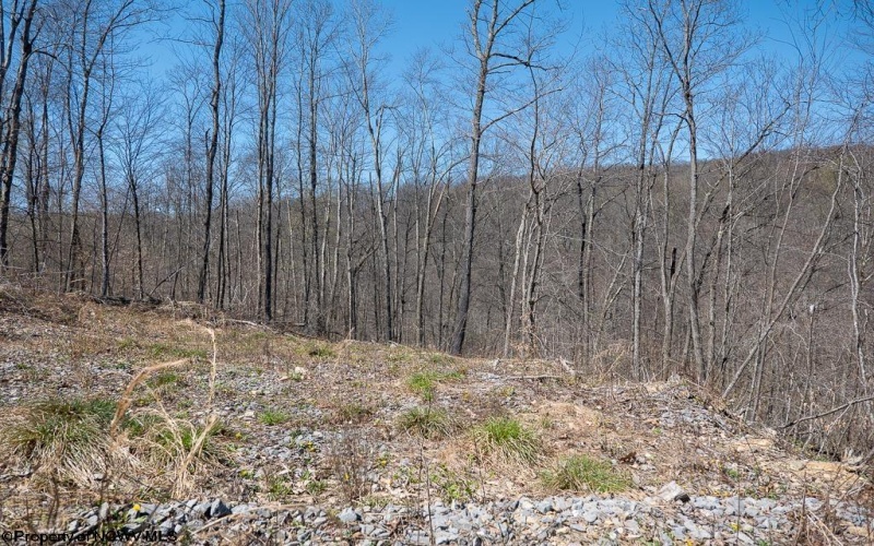 Lot 1 Preston Highway, Tunnelton, West Virginia 26444, ,Lots/land,For Sale,Preston,10164291