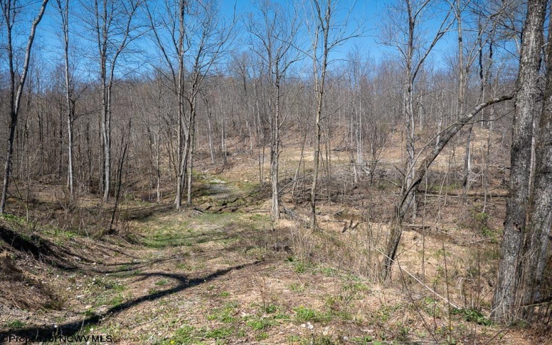 Lot 1 Preston Highway, Tunnelton, West Virginia 26444, ,Lots/land,For Sale,Preston,10164291