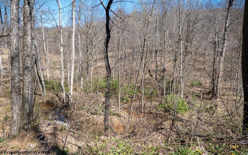 Lot 1 Preston Highway, Tunnelton, West Virginia 26444, ,Lots/land,For Sale,Preston,10164291