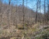 Lot 1 Preston Highway, Tunnelton, West Virginia 26444, ,Lots/land,For Sale,Preston,10164291