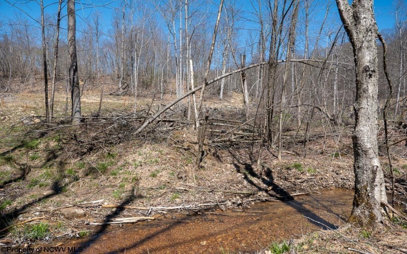 Lot 1 Preston Highway, Tunnelton, West Virginia 26444, ,Lots/land,For Sale,Preston,10164291