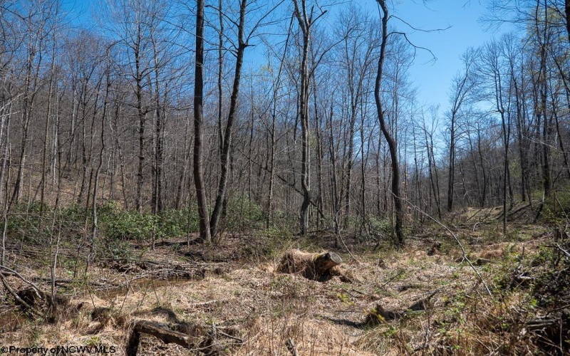 Lot 1 Preston Highway, Tunnelton, West Virginia 26444, ,Lots/land,For Sale,Preston,10164291