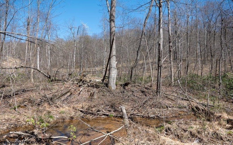 Lot 1 Preston Highway, Tunnelton, West Virginia 26444, ,Lots/land,For Sale,Preston,10164291