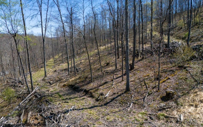 Lot 1 Preston Highway, Tunnelton, West Virginia 26444, ,Lots/land,For Sale,Preston,10164291