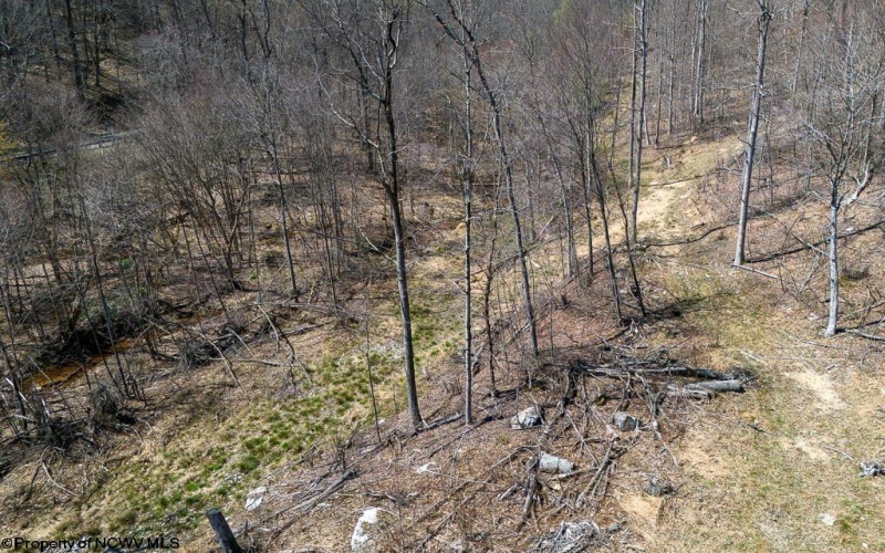 Lot 1 Preston Highway, Tunnelton, West Virginia 26444, ,Lots/land,For Sale,Preston,10164291