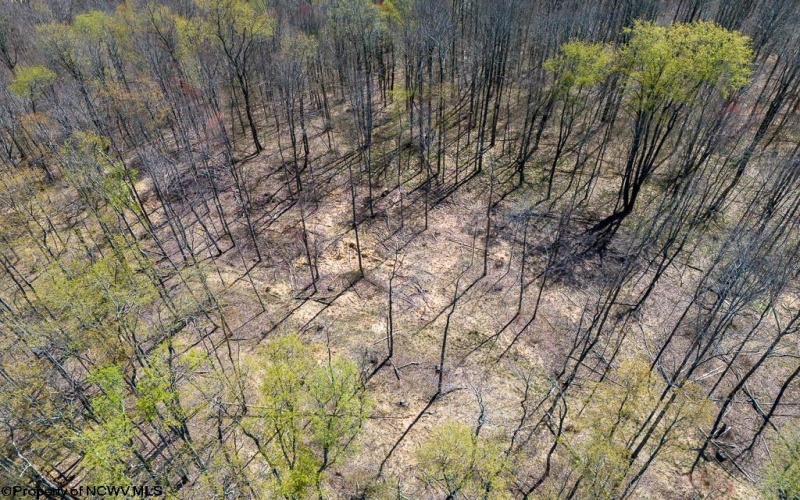 Lot 1 Preston Highway, Tunnelton, West Virginia 26444, ,Lots/land,For Sale,Preston,10164291