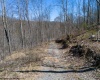 Lot 1 Preston Highway, Tunnelton, West Virginia 26444, ,Lots/land,For Sale,Preston,10164291