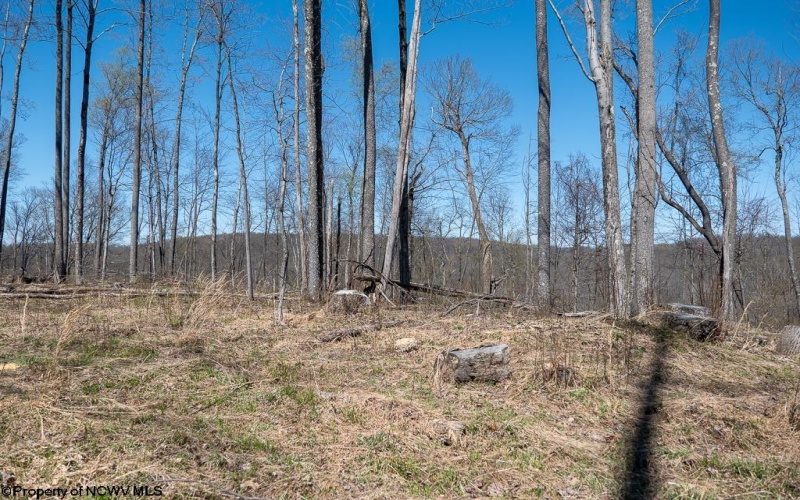 Lot 1 Preston Highway, Tunnelton, West Virginia 26444, ,Lots/land,For Sale,Preston,10164291