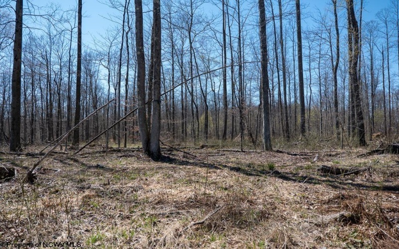 Lot 1 Preston Highway, Tunnelton, West Virginia 26444, ,Lots/land,For Sale,Preston,10164291