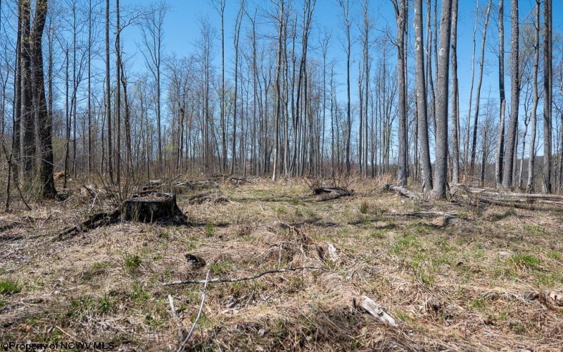 Lot 1 Preston Highway, Tunnelton, West Virginia 26444, ,Lots/land,For Sale,Preston,10164291