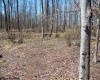 Lot 1 Preston Highway, Tunnelton, West Virginia 26444, ,Lots/land,For Sale,Preston,10164291