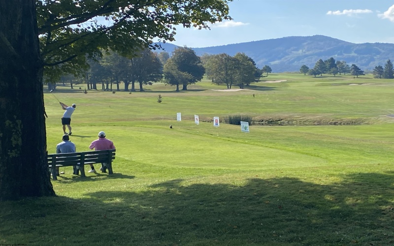 19 Vista Circle, Davis, West Virginia 26260, 3 Bedrooms Bedrooms, 7 Rooms Rooms,2 BathroomsBathrooms,Single Family Detached,For Sale,Vista,10164278