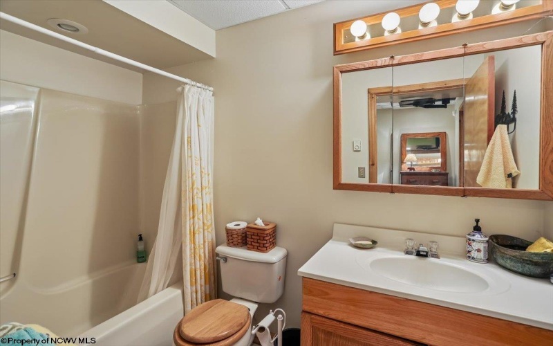 213 Treetop Lane, Davis, West Virginia 26260, 3 Bedrooms Bedrooms, 6 Rooms Rooms,3 BathroomsBathrooms,Single Family Detached,For Sale,Treetop,10164283