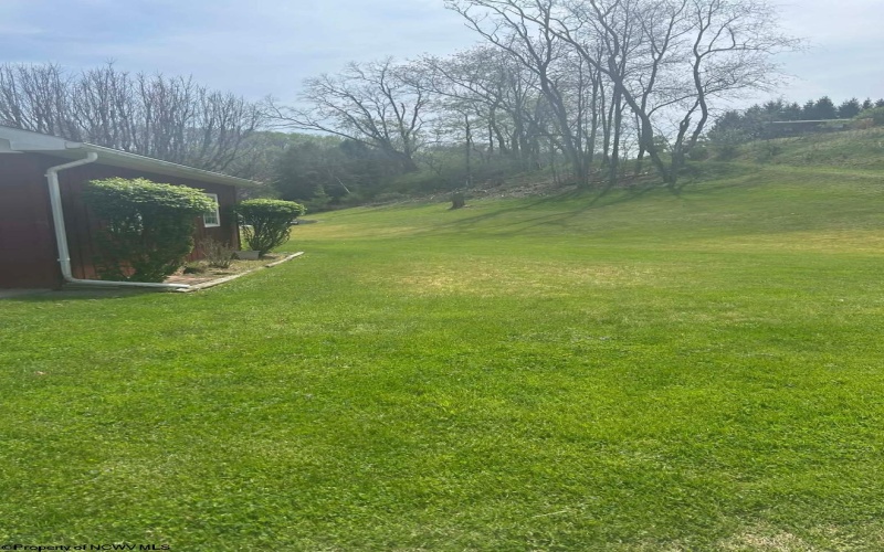 1 Ambrose Street, Buckhannon, West Virginia 26201, 3 Bedrooms Bedrooms, 7 Rooms Rooms,1 BathroomBathrooms,Single Family Detached,For Sale,Ambrose,10164285