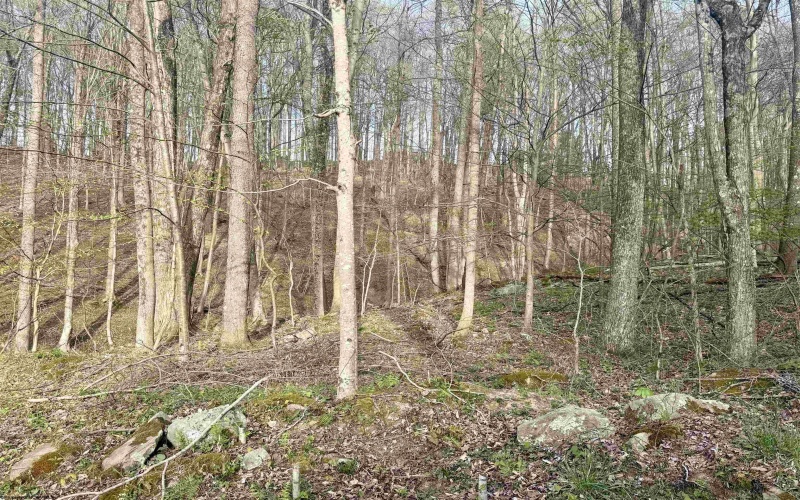 Lot 23 & 23A Serence Drive, Grafton, West Virginia 26354, ,Lots/land,For Sale,Serence,10164300