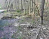 Lot 23 & 23A Serence Drive, Grafton, West Virginia 26354, ,Lots/land,For Sale,Serence,10164300