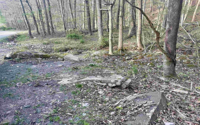 Lot 23 & 23A Serence Drive, Grafton, West Virginia 26354, ,Lots/land,For Sale,Serence,10164300