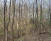 Lot 23 & 23A Serence Drive, Grafton, West Virginia 26354, ,Lots/land,For Sale,Serence,10164300