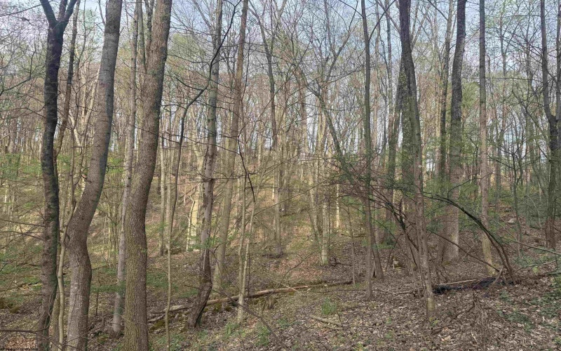 Lot 23 & 23A Serence Drive, Grafton, West Virginia 26354, ,Lots/land,For Sale,Serence,10164300