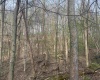 Lot 23 & 23A Serence Drive, Grafton, West Virginia 26354, ,Lots/land,For Sale,Serence,10164300
