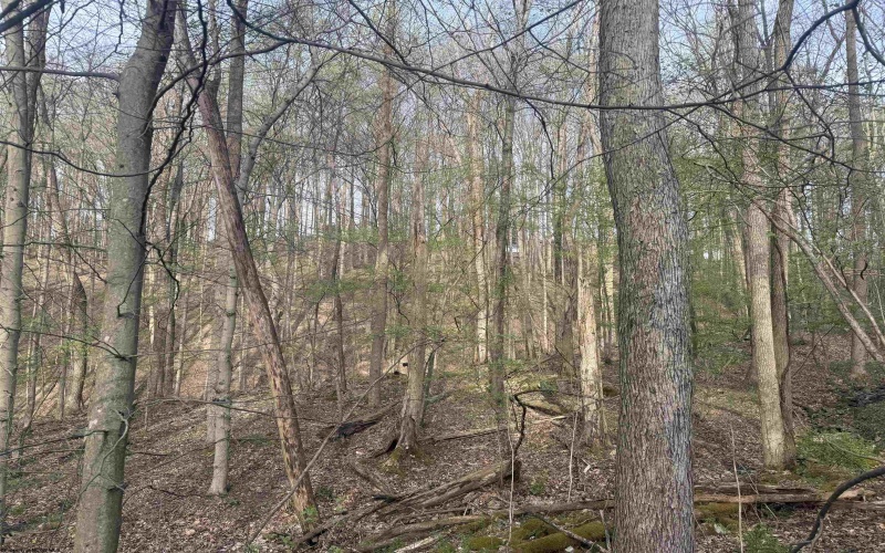 Lot 23 & 23A Serence Drive, Grafton, West Virginia 26354, ,Lots/land,For Sale,Serence,10164300