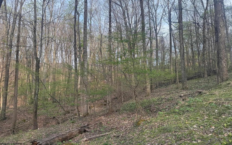 Lot 23 & 23A Serence Drive, Grafton, West Virginia 26354, ,Lots/land,For Sale,Serence,10164300