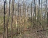 Lot 23 & 23A Serence Drive, Grafton, West Virginia 26354, ,Lots/land,For Sale,Serence,10164300
