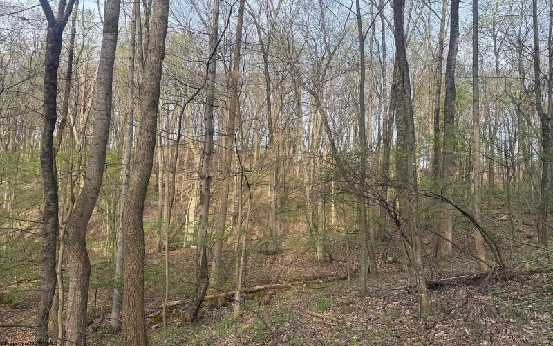 Lot 23 & 23A Serence Drive, Grafton, West Virginia 26354, ,Lots/land,For Sale,Serence,10164300