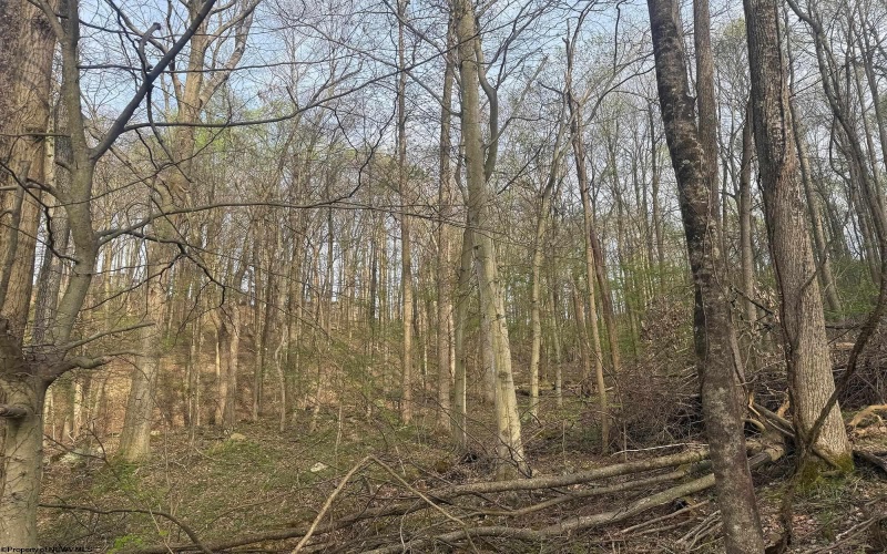 Lot 23 & 23A Serence Drive, Grafton, West Virginia 26354, ,Lots/land,For Sale,Serence,10164300