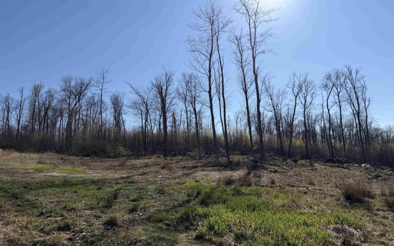 Lot 3 Poplar Ridge, Bruceton Mills, West Virginia 26525, ,Lots/land,For Sale,Poplar,10164301