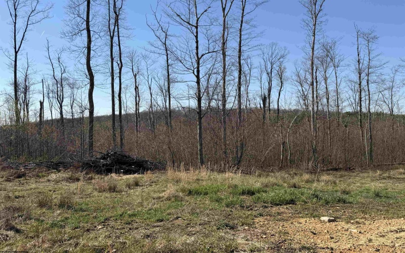 Lot 3 Poplar Ridge, Bruceton Mills, West Virginia 26525, ,Lots/land,For Sale,Poplar,10164301