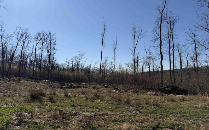 Lot 3 Poplar Ridge, Bruceton Mills, West Virginia 26525, ,Lots/land,For Sale,Poplar,10164301