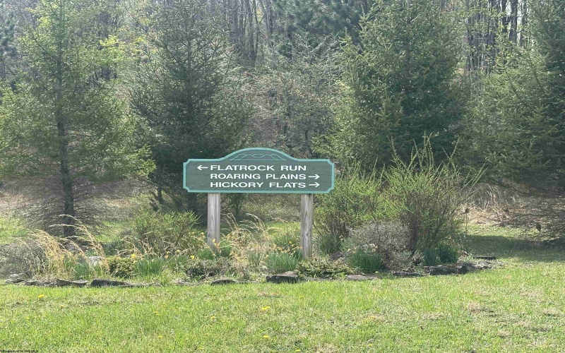 Lot 1 Bonner Mountain Road, Red Creek, West Virginia 26263, ,Lots/land,For Sale,Bonner Mountain,10164322