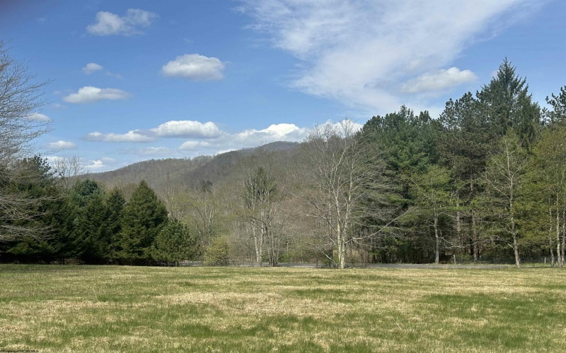 Lot 1 Bonner Mountain Road, Red Creek, West Virginia 26263, ,Lots/land,For Sale,Bonner Mountain,10164322