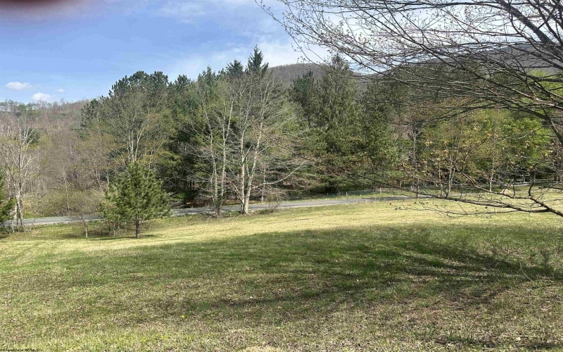 Lot 1 Bonner Mountain Road, Red Creek, West Virginia 26263, ,Lots/land,For Sale,Bonner Mountain,10164322